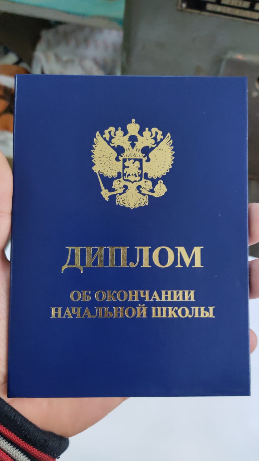 Синий диплом школы